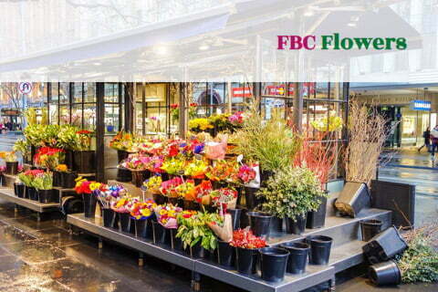 Depozit flori – FBC Flowers