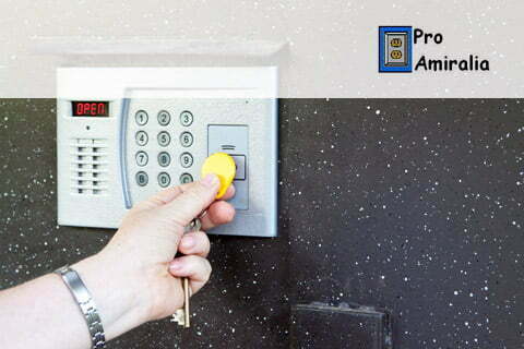 PRO Amiralia – Securitate & Electrice